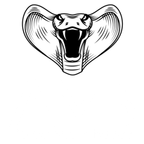 Investigadores Detectives Privados en México