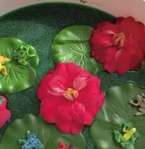 Graine de chia coloré