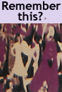 purple pub womens room wall paper 1971