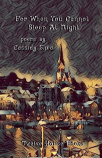 FOR WHEN YOU CANNOT SLEEP by Cassidy Shea