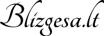blizgesa.lt logo