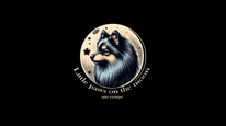 Little paws on the moon logo