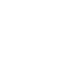 The Process CEO logo