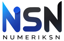 Numeriksn logo