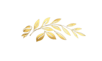 Empereur logo