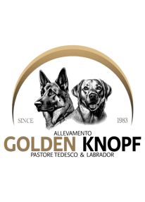 Allevamento Golden Knopf logo