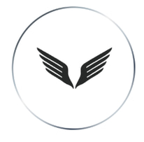 Wingspan Aircraft Ventures logo