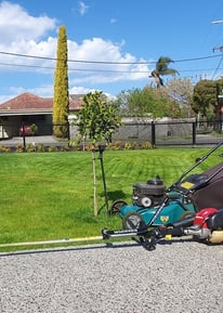 Freshly mown lawn