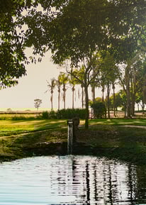 Fazenda Lumiar - paisagem