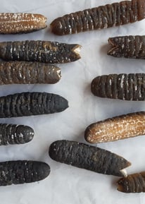 Dried trepangs (sea cucumbers) selected by Madopex, Madagascar's leader in seafood exports.