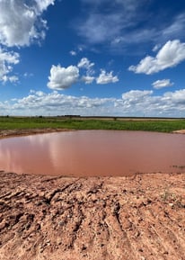 New farm pond
