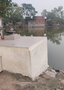 Pond