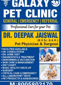 a poster advertising a pet clinic in the city