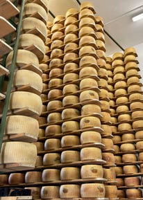 Best flavoured Roomy Cheese manufacturer  أفضل مصنعين للحبن الرومي المصري