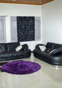 a living room with a couch and a rug