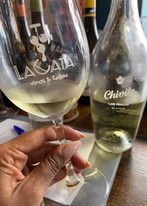 Brindando en una cata de vino