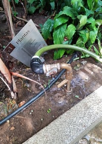 a hosepiper with a hose attached to a hose