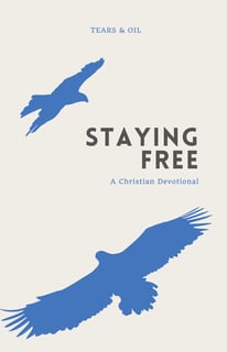 book cover staying free christian devotional blue birds flying