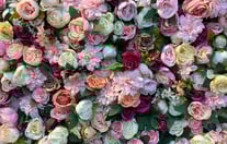 une composition florales avec des roses de toutes les couleurs