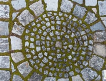mandala avec mousse sur sol en pierre, fondation, socle, terre