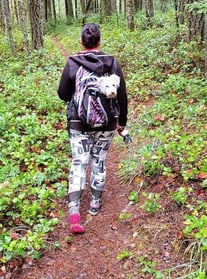Waterfall Hwy, OR - My daughter walking in front with my dog in a backpack on the Wolf Creek Falls t