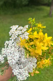 TCM herbal teas with western herbs like yarrow