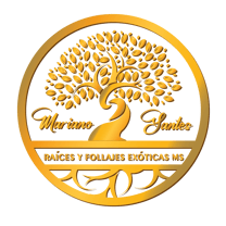 Raíces y Follajes Exóticas MS logo