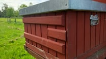 pet-safe outdoor paint that protects your wood and respects bees or your furry friends