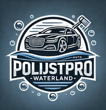 a car with a car washer and a car washer