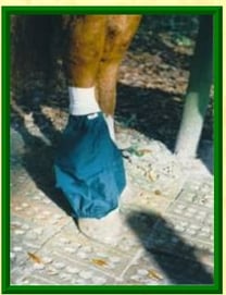 donkey sock