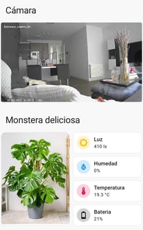 domotica en plantas