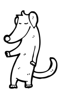 cachorro feliz dr cascudo