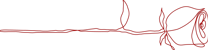 Allure Dance Studios red rose outline right flip