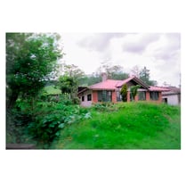 image of a house in the woods