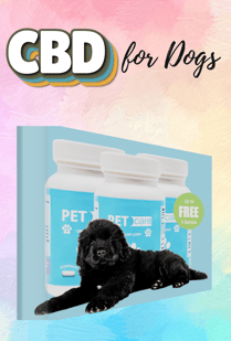 CBD for dogs
