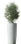 Vaso