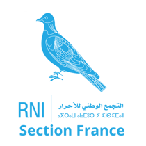 RNI France logo
