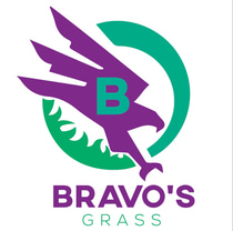 Bravos Grass logo