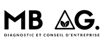 MB AG. Diagnostic et conseil d'entreprise logo