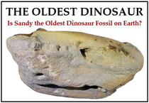 Oldest Dinosaur logo