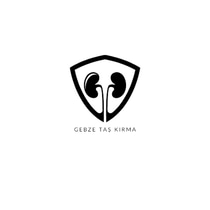 Gebze Taş Kırma Ünitesi logo