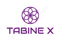 3D TABINE X vision 360° logo