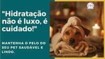 A importância da hidratação