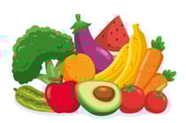 vegetables export