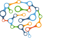 Brain