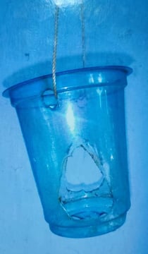 "Innovative method to keep oysters stable underwater for pearl culture–enhanced suspension system for better growth"