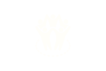 Social Mind Inspired logo