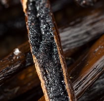 luxury grade vanilla supplier