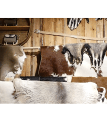 Raw buffalo leather—ethically sourced from halal processing, ideal for tanning and export markets.