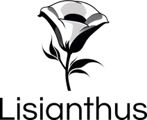 Lisianthus Decor logo